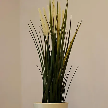 Muse Downtown Apartment