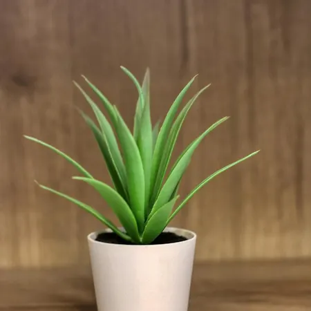 Muse Downtown דירה *