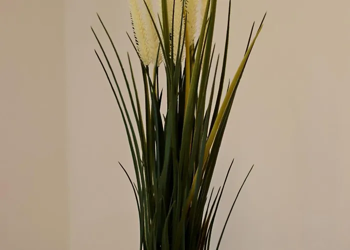 Muse Downtown 公寓